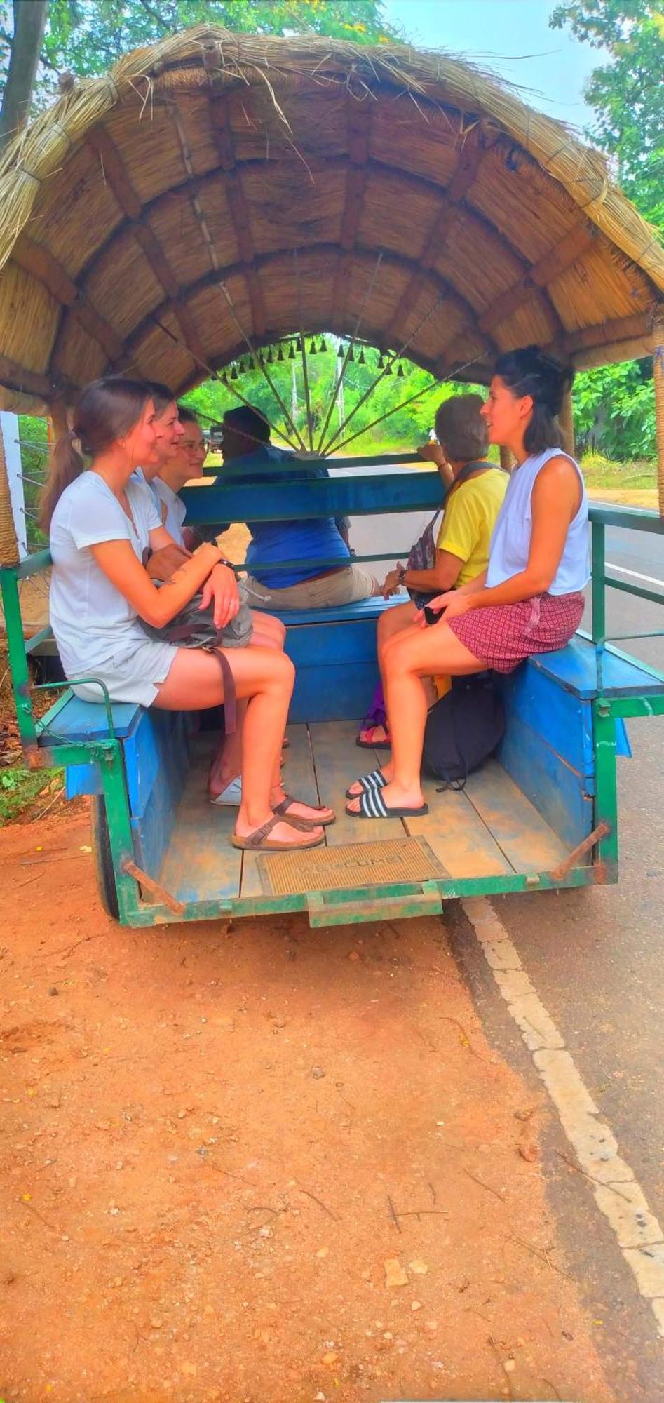 Sigiriya Nature Resort Luaran gambar